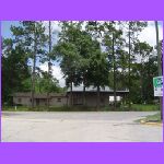 Sopchoopy Florida 2JPG.jpg